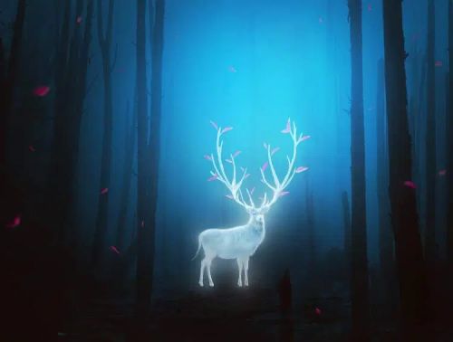 آموزش طراحی گوزن درخشان در فتوشاپ